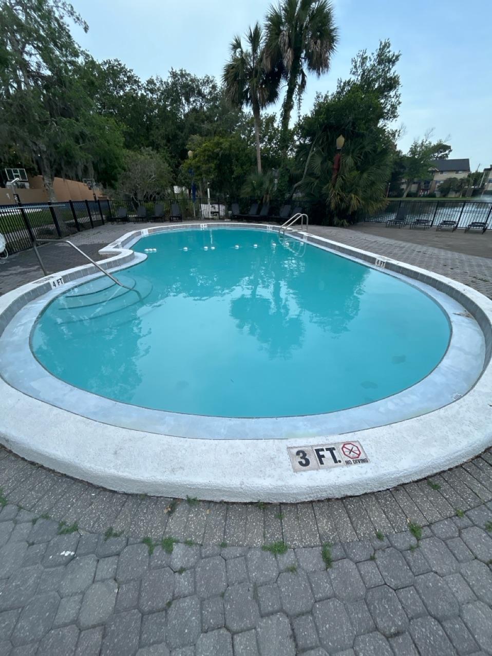 Victor Brothers pool service Tampa