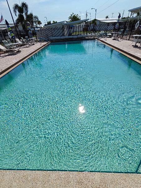 Pool cleaning Tampa FL