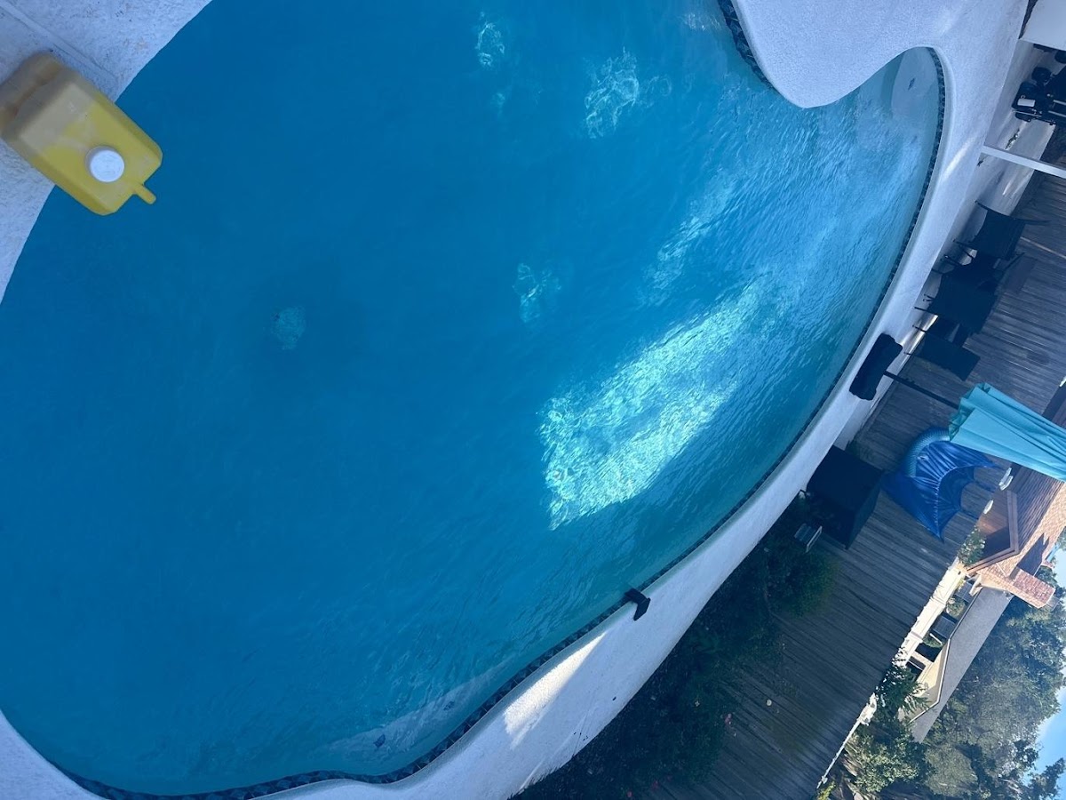 Swimming pool service Tampa